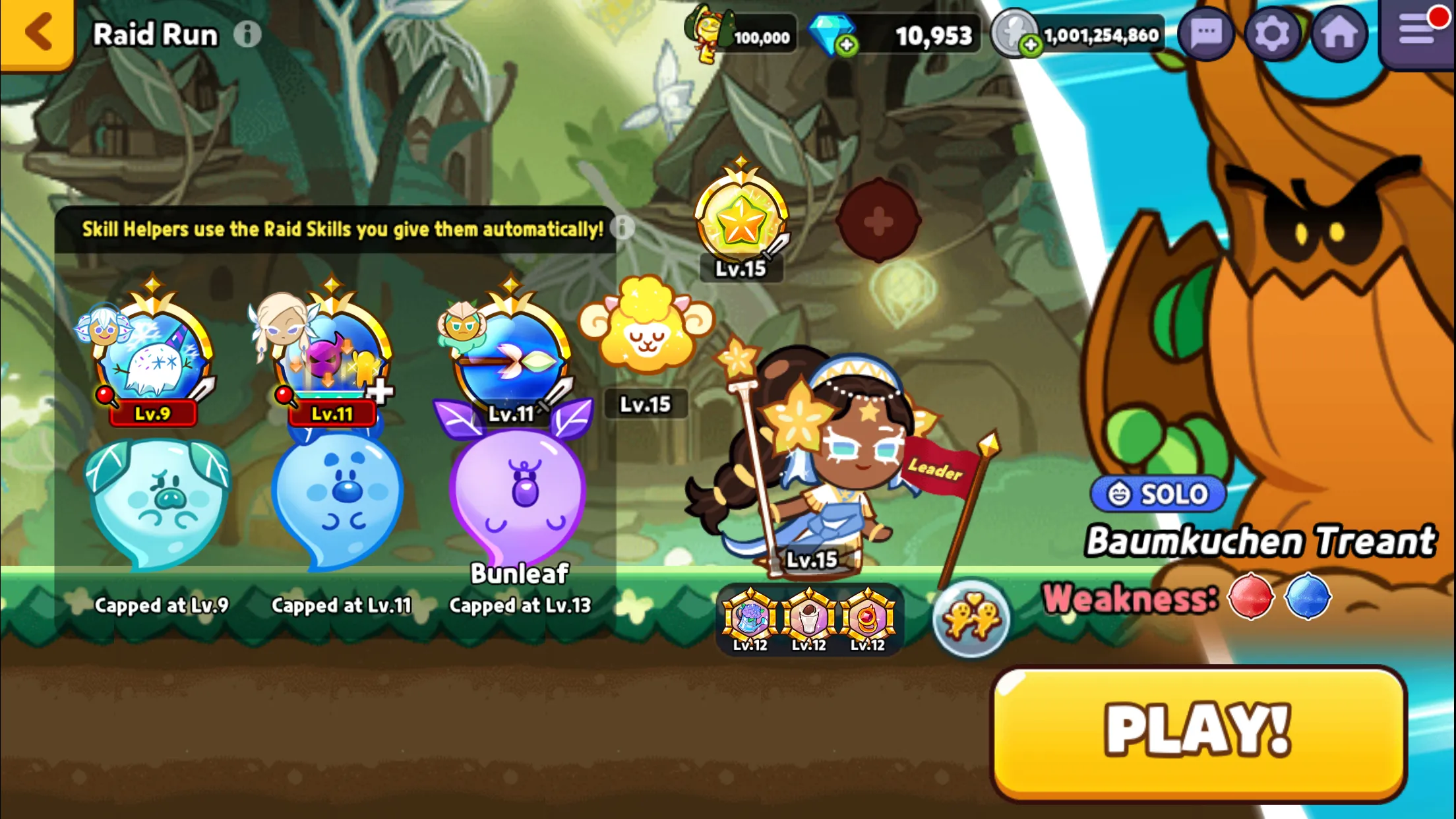 Raid <br/>RUN